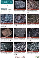 Guide to Common Rocks Occasional