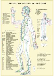 Special Points in Acupunture -- A4