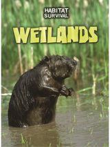 Wetlands