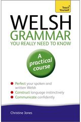 Welsh Grammar You Really Need to Know: Teach Yourself