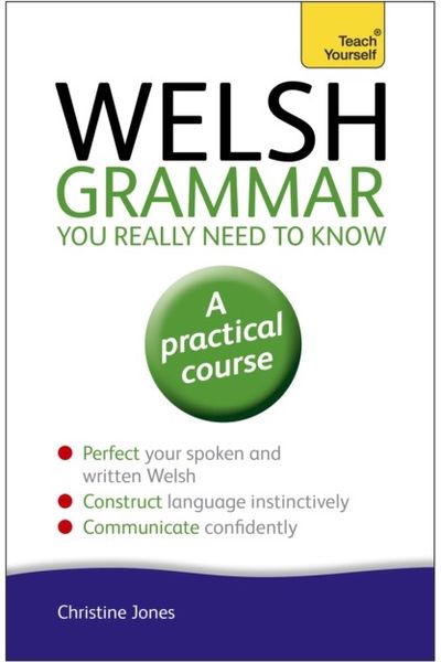 Welsh Grammar You Really Need to Know: Teach Yourself
