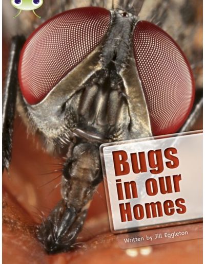 Bug Club Independent