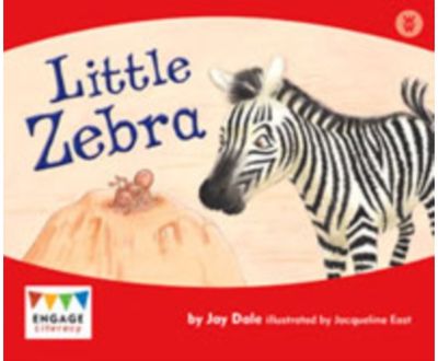 Little Zebra