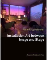 Installation Art Between Image and