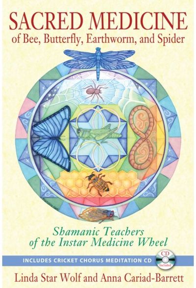 Sacred Medicine of Shamanic Teachers of