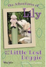 The Adventures of And the Little Lost