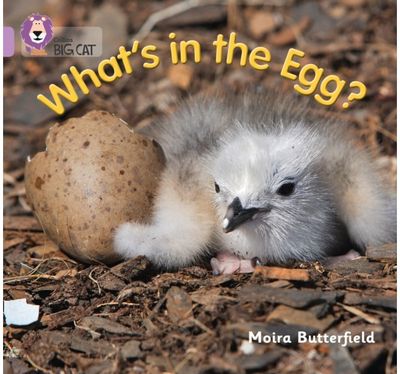 What’s in the Egg? Band 00/Lilac