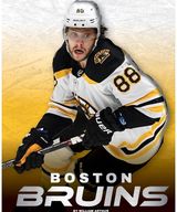 Boston Bruins