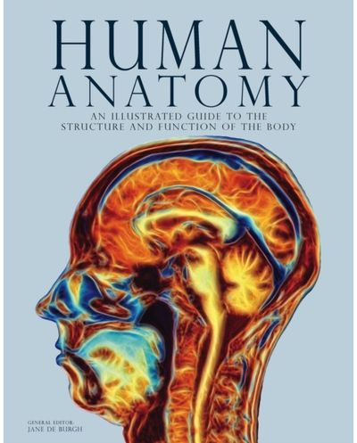 Human Anatomy: An Illustrated Guide to the Structure and Function of the Body