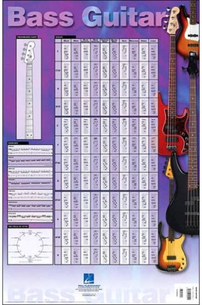 Bass Guitar Poster 23 Inch. x 35 Inch.
