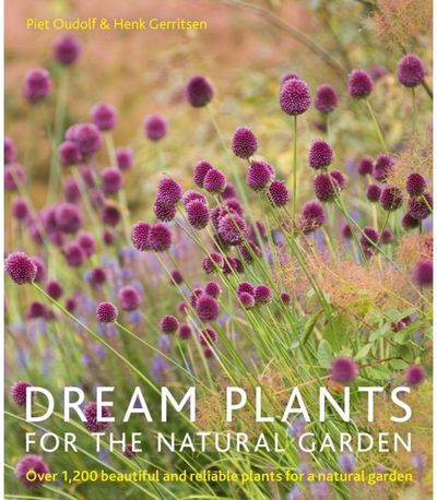 Dream Plants for the
