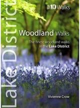 Woodland Walks The Finest Woodland