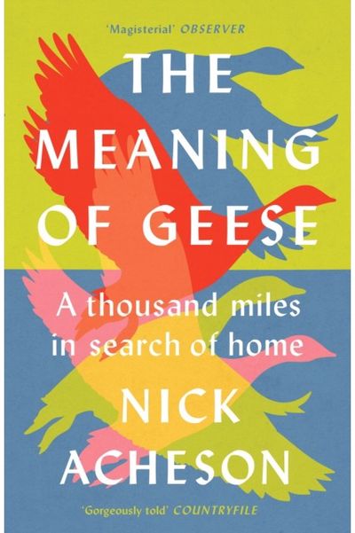 Meaning of Geese A Thousand Miles in