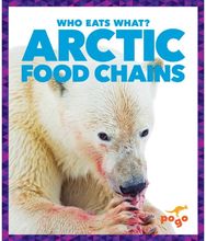 Arctic Food Chains