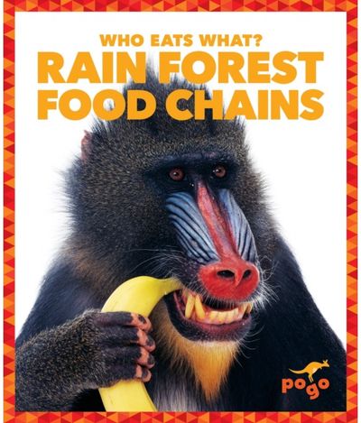 Rain Forest Food
