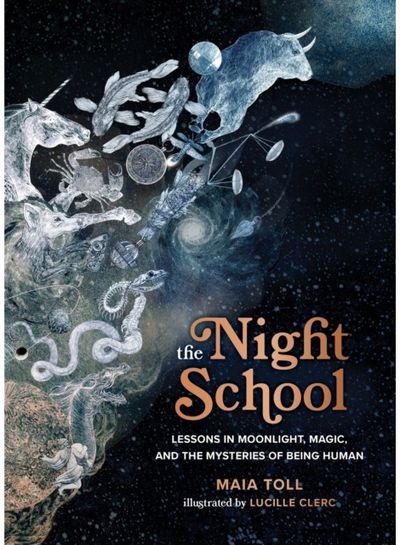 Night School Lessons in