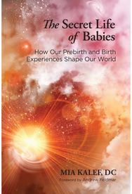 Secret Life of Babies: How Our Prebirth and Birth Experiences Shape Our World How Our Prebirth and Birth Experiences Shape Our World