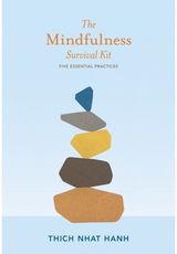 Mindfulness Survival Five Essential