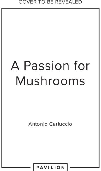 Passion for Mushrooms