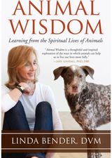 Animal Wisdom Learning from the