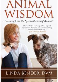 Animal Wisdom: Learning from the Spiritual Lives of Animals Learning from the Spiritual Lives of Animals