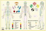 Meridians / Five