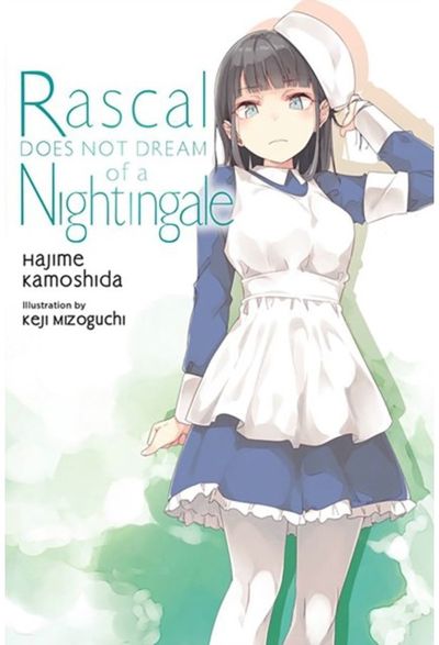 Rascal Does Not Dream of a Nightingale (light novel)