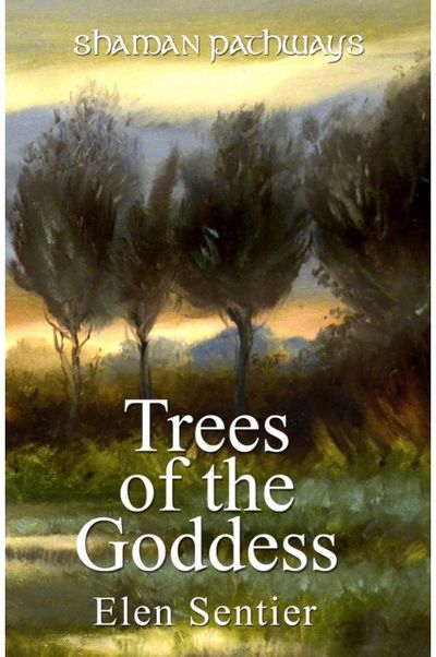 Shaman Pathways - A New Way of Working