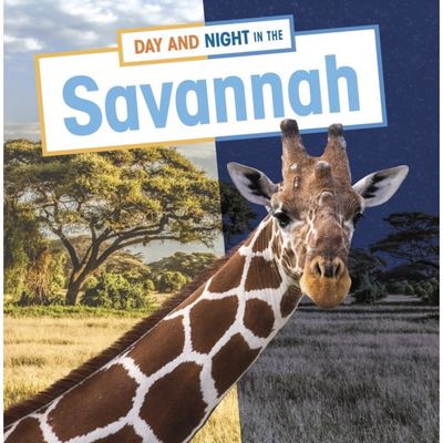 Day and Night in the