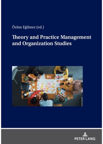 Theory and Practice Management and Organization Studies