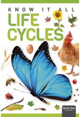 Life Cycles