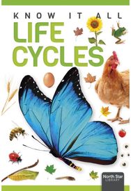 Life Cycles