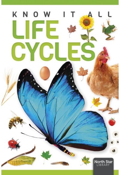 Life Cycles