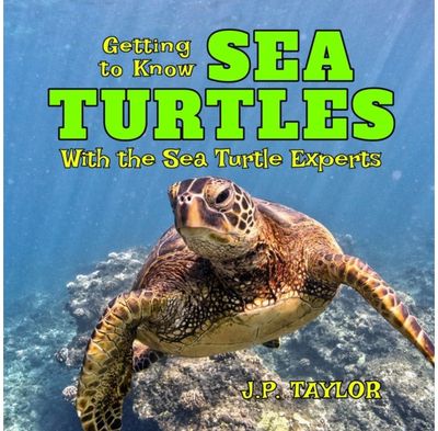 Getting to Know Sea With the Sea Turtle