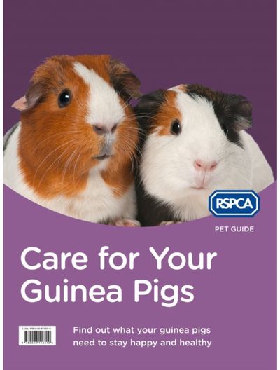 Care for Your Guinea