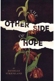 Other Side of Hope Flipping the Script on Cynicism and Despair and Rediscovering our Humanity