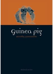 Guinea Pig