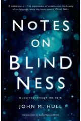 Notes on Blindness A journey through