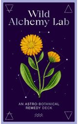 Wild Alchemy Lab An Astro-botanical