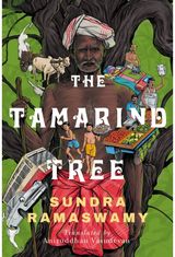Tamarind Tree