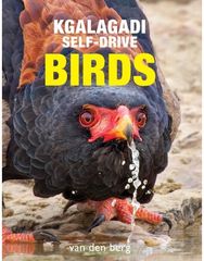 Kgalagadi Self-Drive Birds