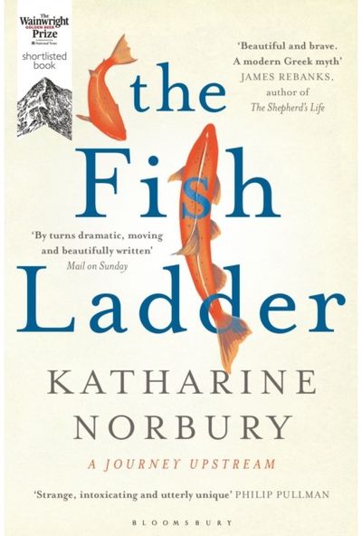 Fish Ladder A Journey Upstream