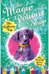 Magic Potions Shop: