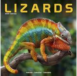 Lizards Calendar 2025 Square Animal Wall Calendar - 16 Month