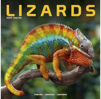 Lizards Calendar 2025 Square Animal Wall Calendar - 16 Month