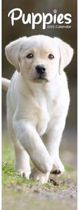 Puppies Slim Calendar 2025 Dog Breed Slimline Calendar - 12 Month