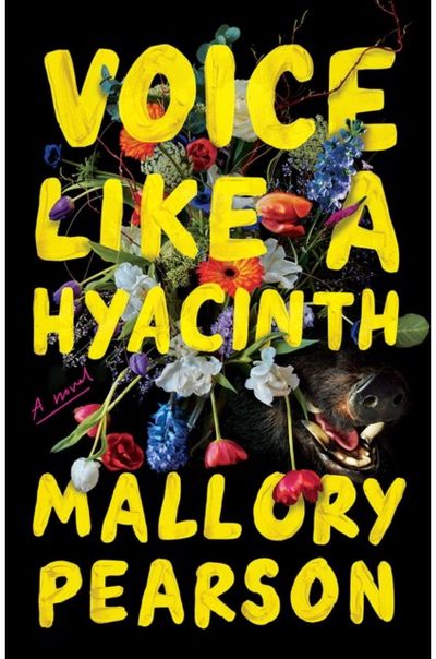 Voice Like a Hyacinth A Novel