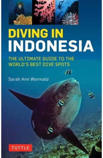 Diving in Indonesia The Ultimate Guide