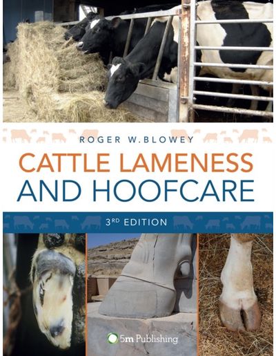 Cattle Lameness and