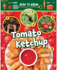 How to Grow Tomato Ketchup